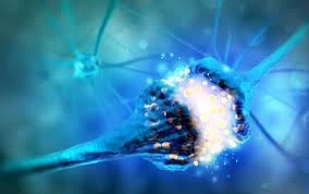 How to Find Consciousness: A Detailed Guide.