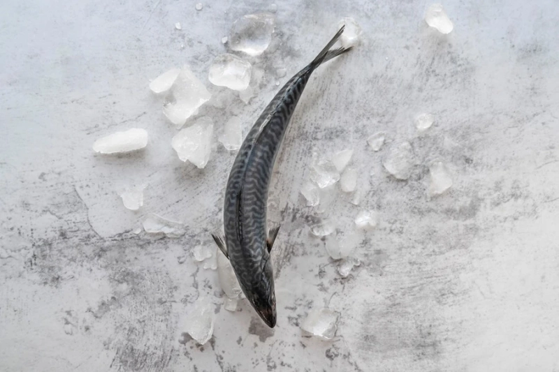Kane Fish: The Health Benefits And Nutritional Value