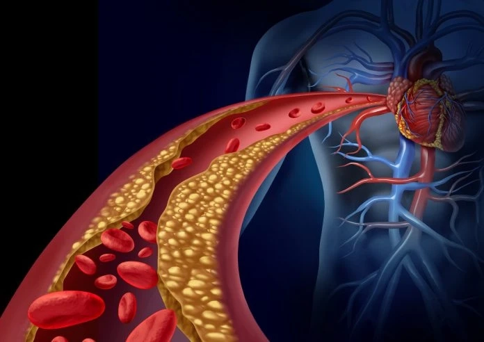 How Genetic Testing Shapes Breast Cancer Treatment Plans