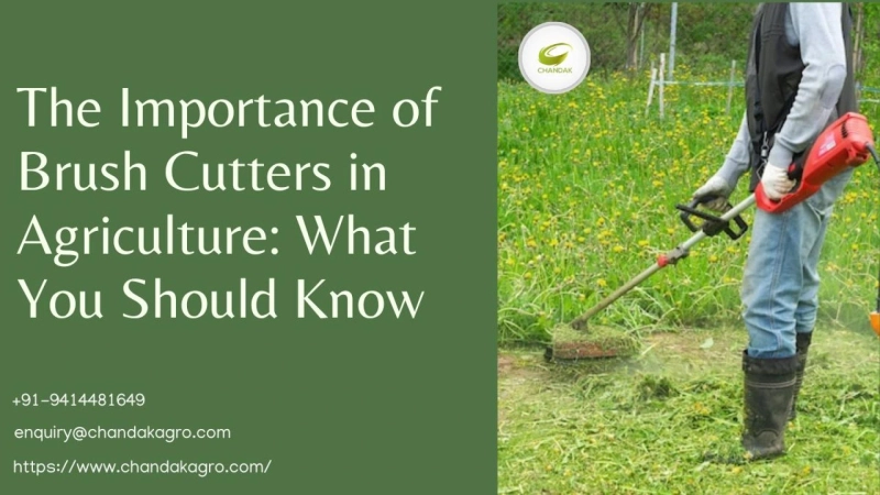 The Importance of Brush Cutters in Agriculture: What You Should Know