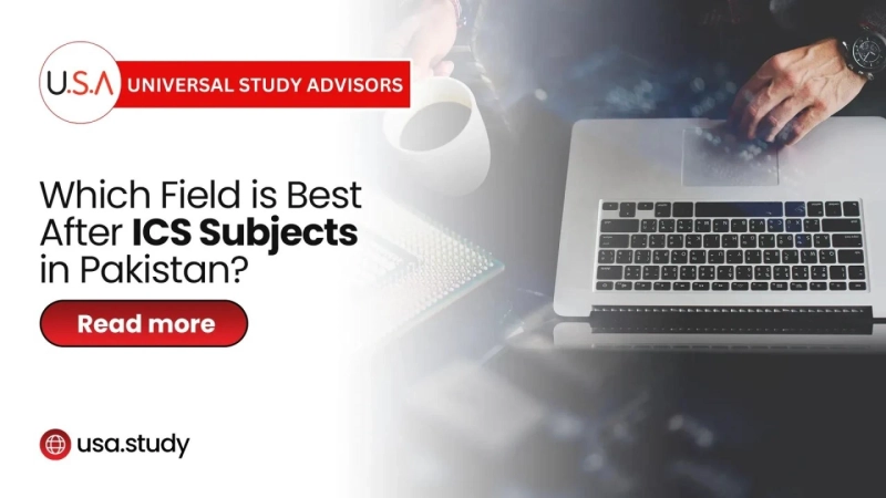 Which Field is Best After ICS Subjects in Pakistan