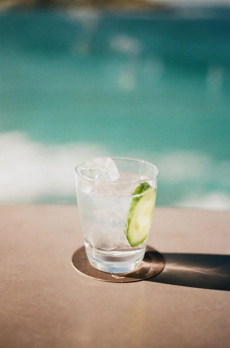 Which Countries Produce the Best Gin?