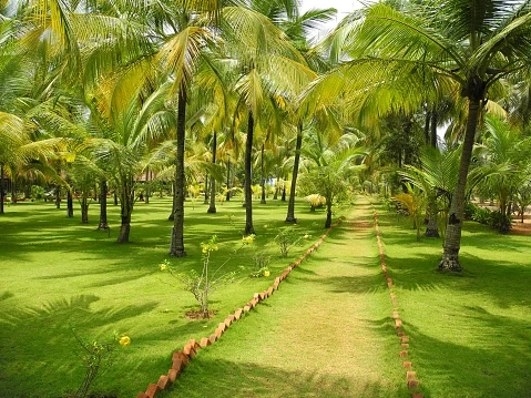 When Inflation Anxiety Rises, Invest in Agriculture