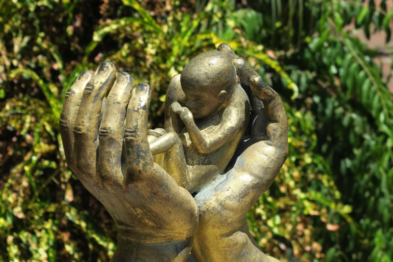 Social Problem of Abortion: Pros and Cons