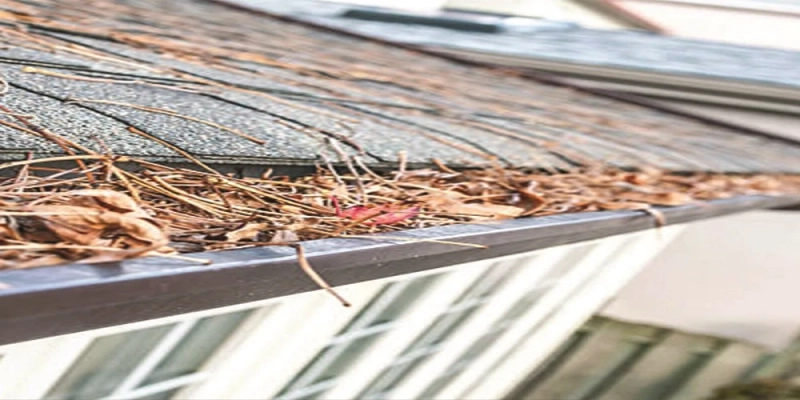The Quiet Value Behind Gutter Cleaning Services in Hampstead