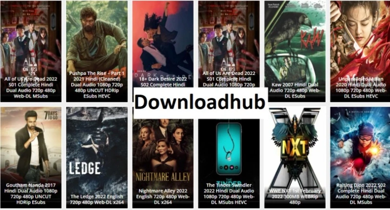 Watch Online and Download Movies from DownloadHub