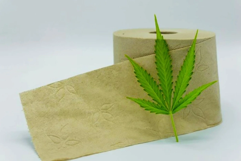 Hemp Paper Packaging: Ecological solution for Brands