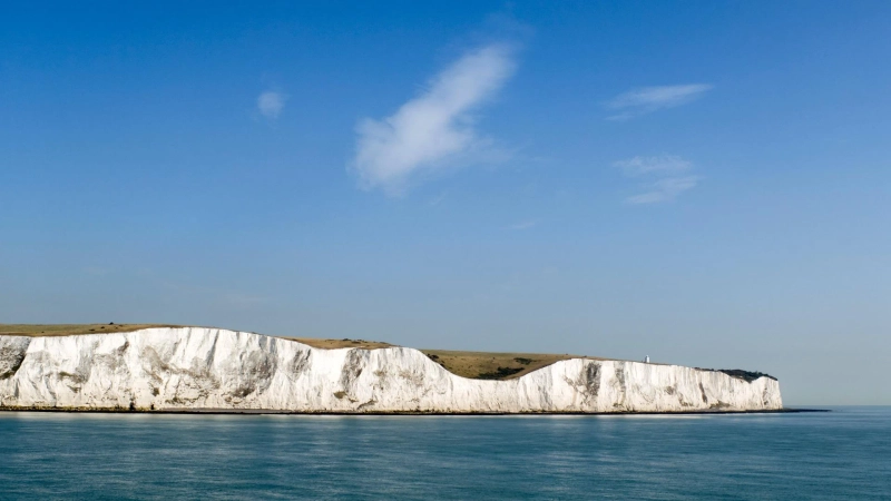 Talk To Someone At MetAmask Toll Free Number