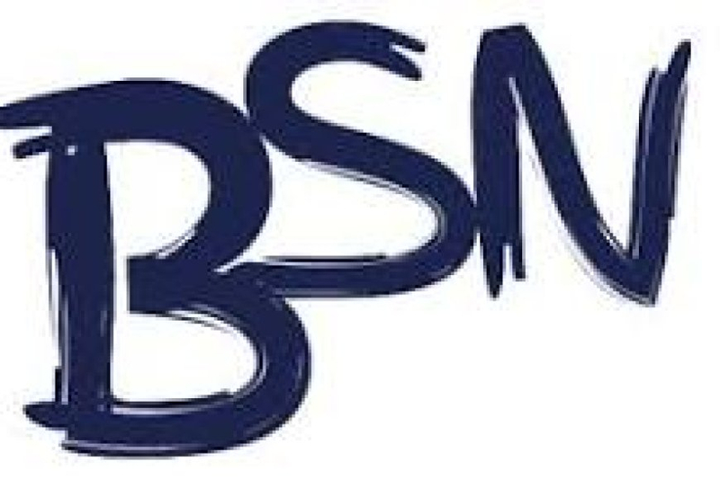 Comprehensive BSN Writing Service: Your Partner in Academic and Professional Success