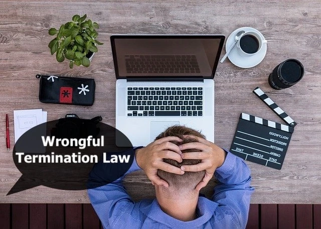 Legal Advocacy: The Power of a Reputable Wrongful Termination Lawyer