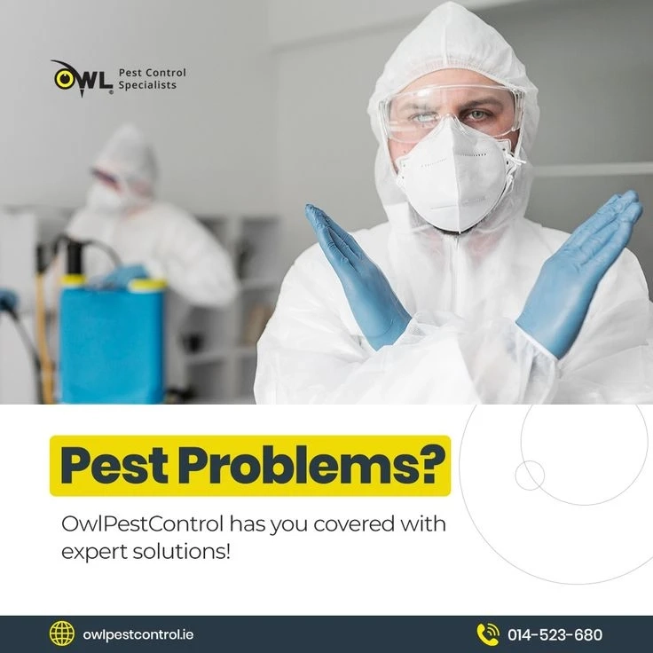 Prominent Aspects That Transform the Quality of the Best Pest Control Services Dublin