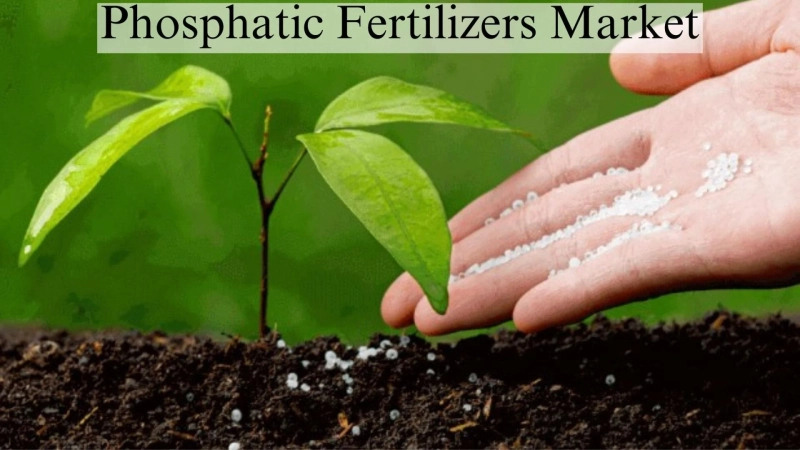 Phosphatic Fertilizers Market Size, Growth Forecast Through 2032