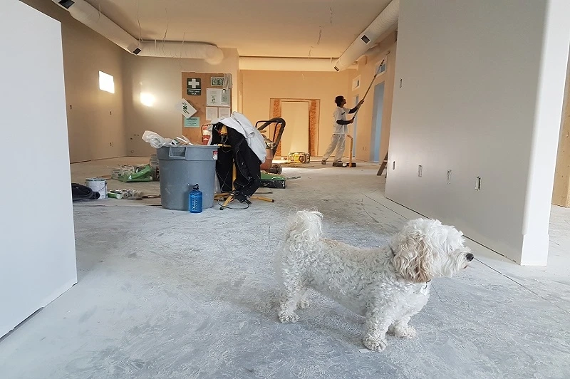 Benefits of Hiring Professionals for Home Extensions