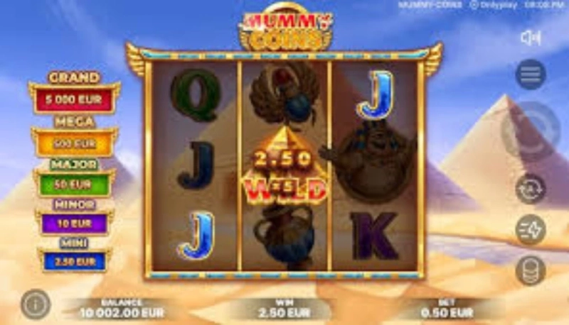 미라 동전 슬롯