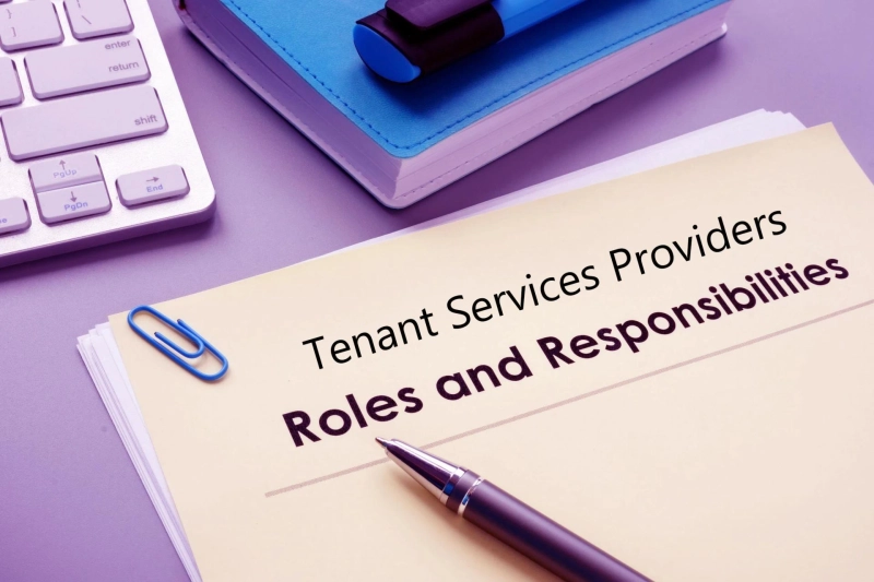 What are the Responsibilities of a Tenant Service Provider?