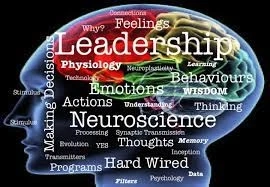 How to find The Best Training Company for Neuroleadership?