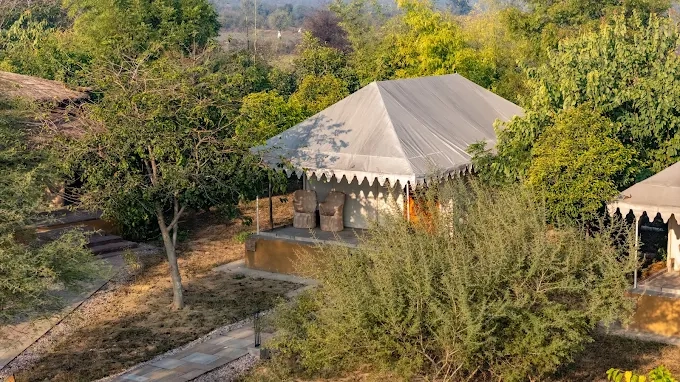 Is Monsoon the Best Time to Experience Sariska Luxury Resorts?