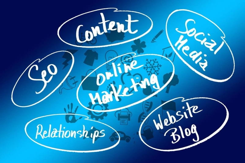 Elevate Your Online Presence with the Best SEO Freelancer in Delhi