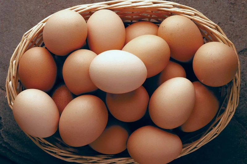 The Importance Of Today Egg Rate In Our Daily Lives