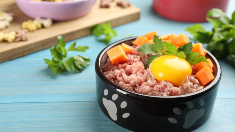 Dog Food: Health Benefits of Raw Feeding