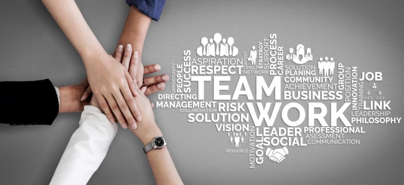 Cultivating Success Nurturing a Culture of Teamwork Makes the Dream Work