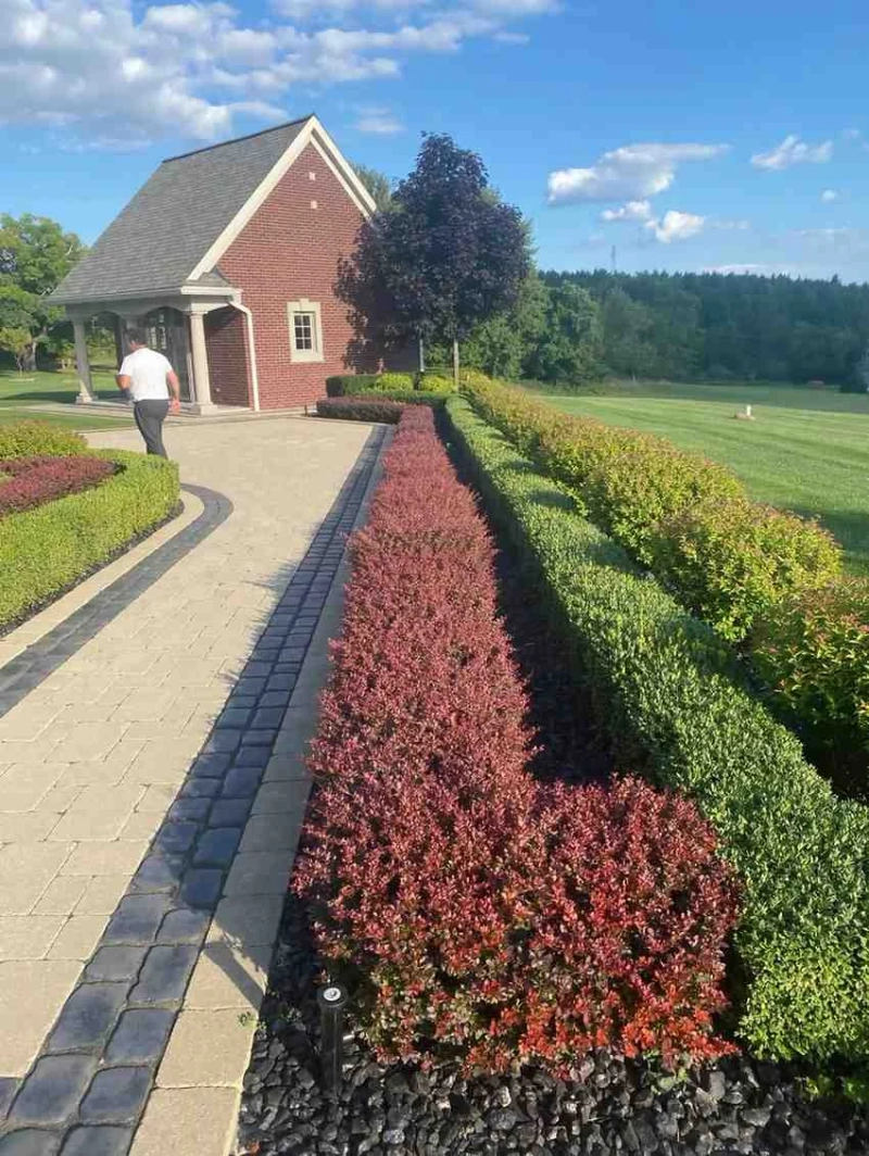 Boost Your Home Value Fast with These Genius Landscaping Ideas in Michigan