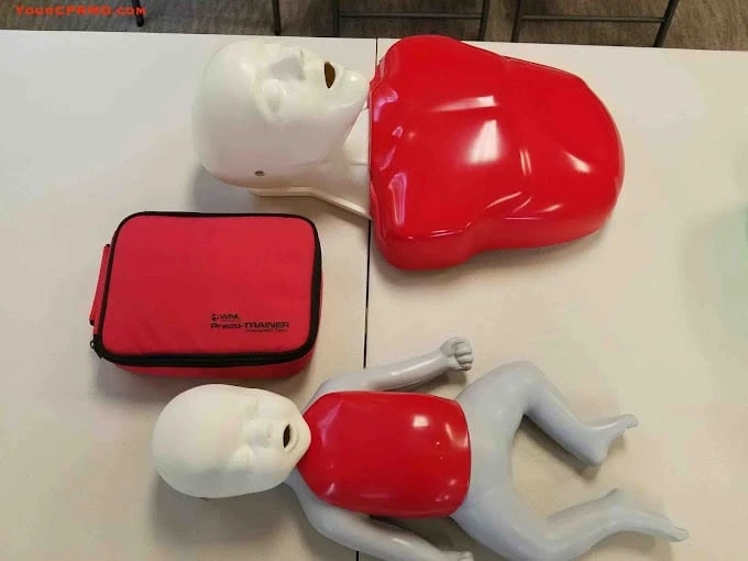Empowering Corona with Lifesaving Skills: CPR and Certification Options