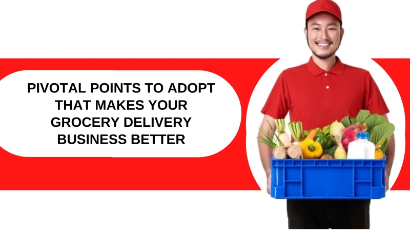 Pivotal Points to Adopt That Makes Your Grocery Delivery Business Better
