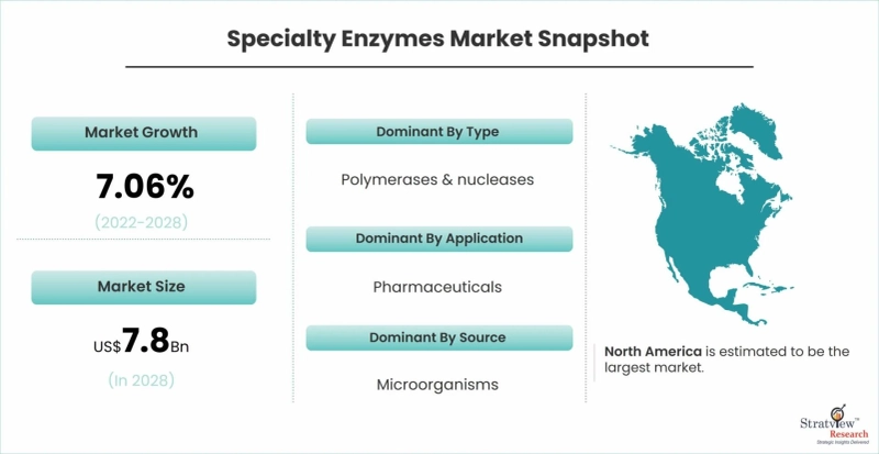Specialty Enzymes Market 2022: Detailed analysis and growth trends post-COVID-19 outbreak