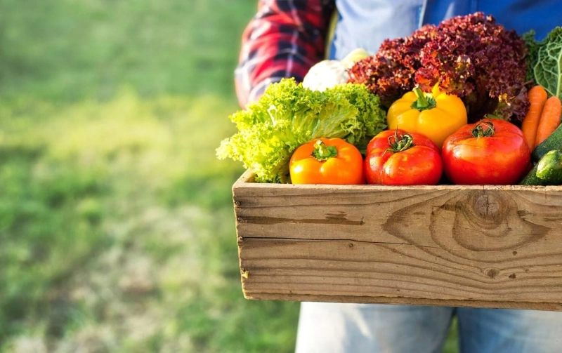 Organic Farming Market Global Trends Evaluation, Geographical Segmentation, Business Challenges and Investment Opportunities