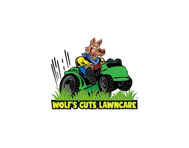 Lawn Maintenance for Every Season 