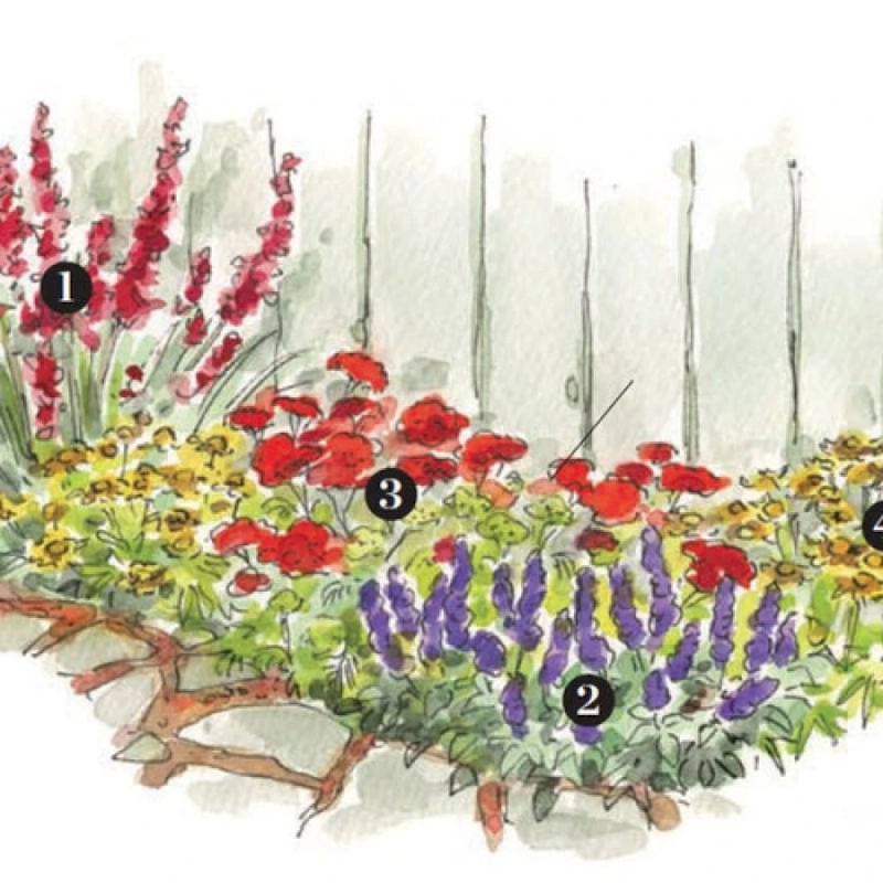 Best Plants for Beautiful Seasonal Combos by Region