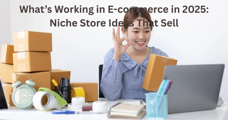 What’s Working in E-commerce in 2025: Niche Store Ideas That Sell
