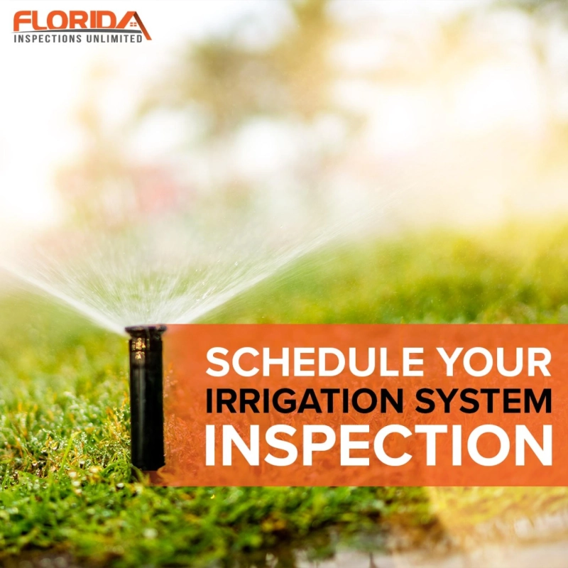 Common Home Issues Sellers Hope You Won’t Notice
