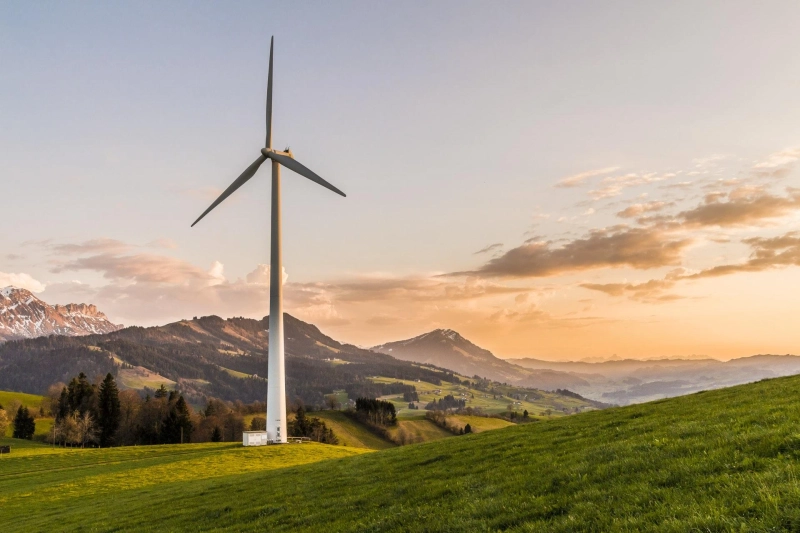 How Sustainability Trends Will Impact Businesses in 2022