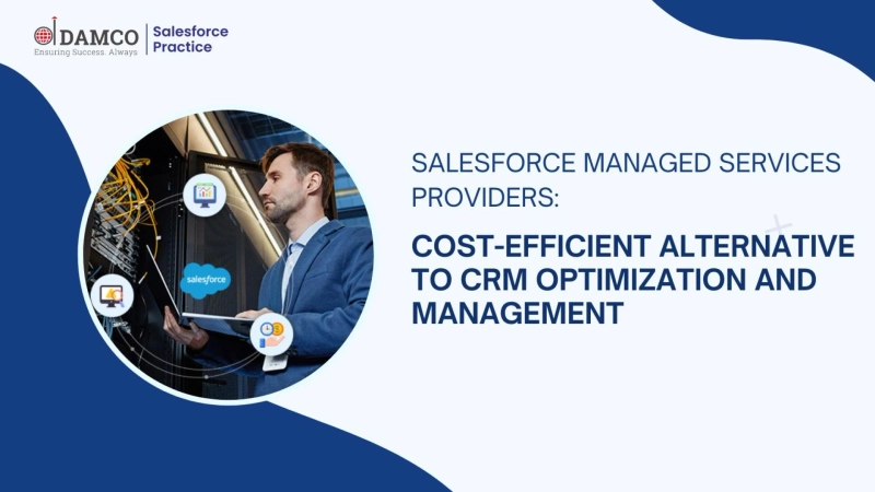 Salesforce Managed Services Providers: Cost-Efficient Alternative to CRM Optimization and Management