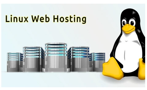 The Technical Side of Linux Hosting