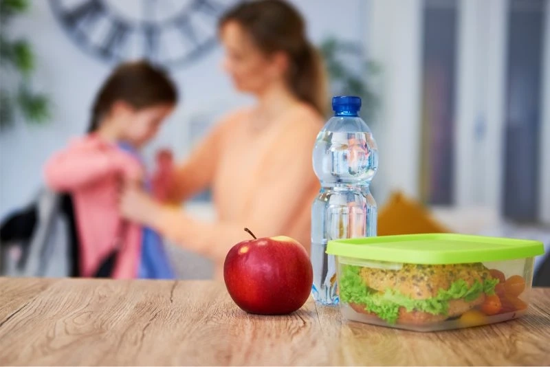 Mistakes to avoid when packing the tiffin for school