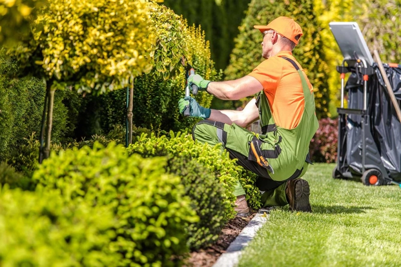 Why Native Plants Are Ideal for Office Exteriors