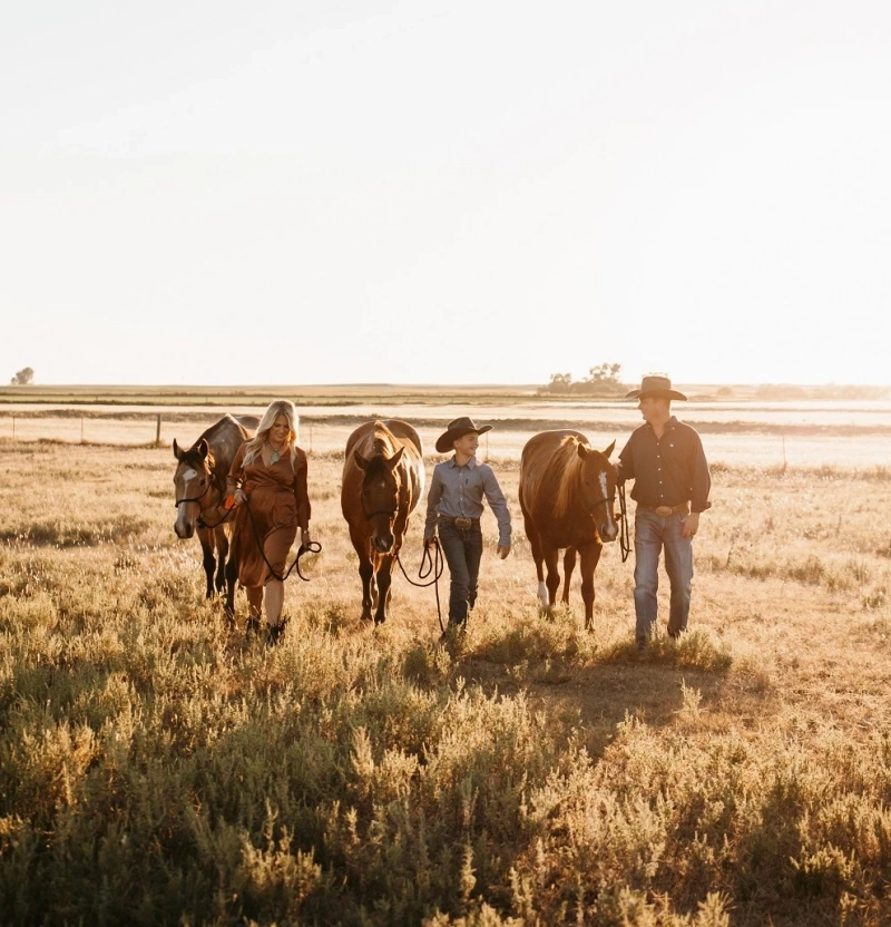 Why Probiotic Supplements Matter for Horses
