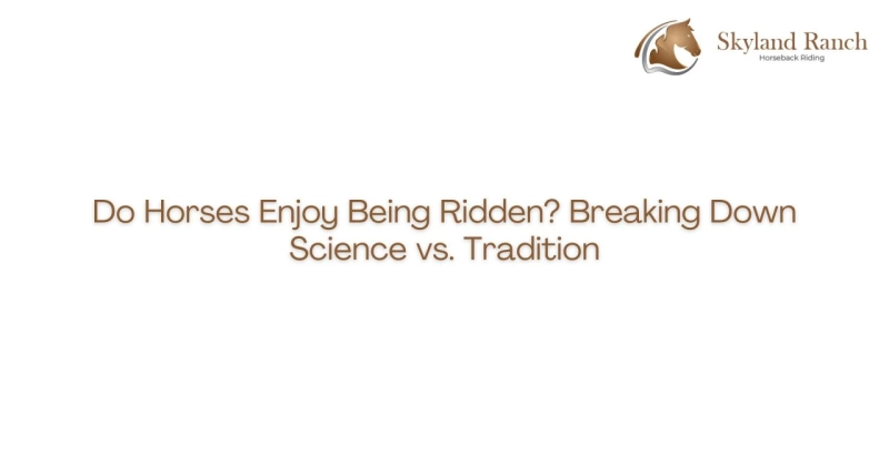 Do Horses Enjoy Being Ridden? Breaking Down Science vs. Tradition