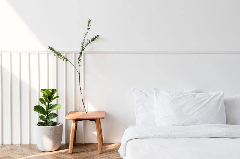 Which Type of Mattress is Best for Good Health?