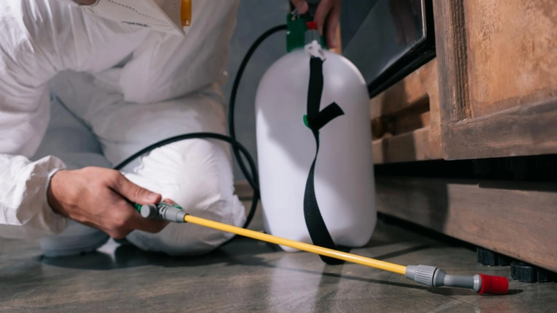 Why Is Pest Control An Essential Service?