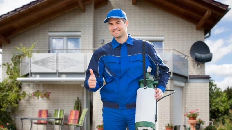 Eco-Friendly Pest Control: Natural Methods and Products