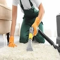 Carpet cleaning services Queens: professional carpet cleaning you can trust