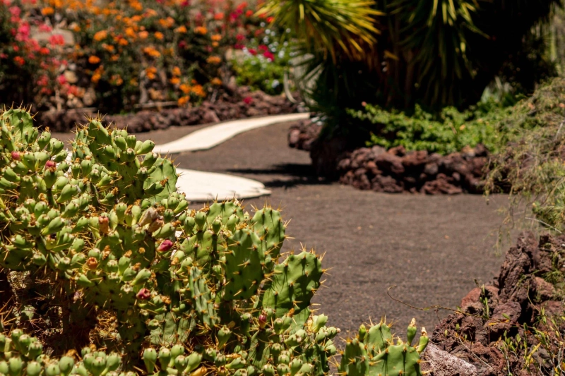 Frozen Roots, Green Dreams: The Ultimate Guide to Landscaping in Minneapolis