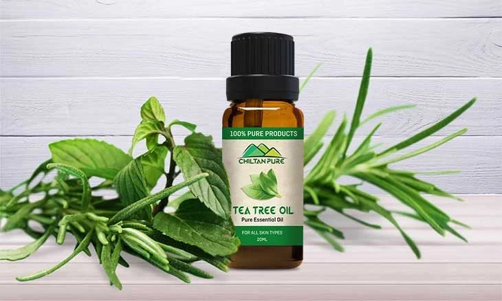 How to control seborrheic dermatitis with tea tree oil