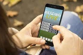 PayPerHead Sportsbook: Buy Betting Software Online