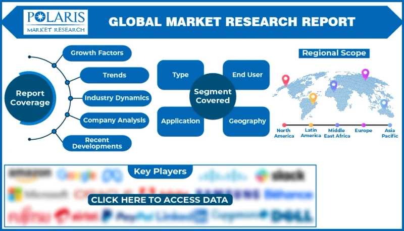 Dimethyl Carbonate Market Report 2024: Raw Materials, Investment Opportunities, Cost and Revenue