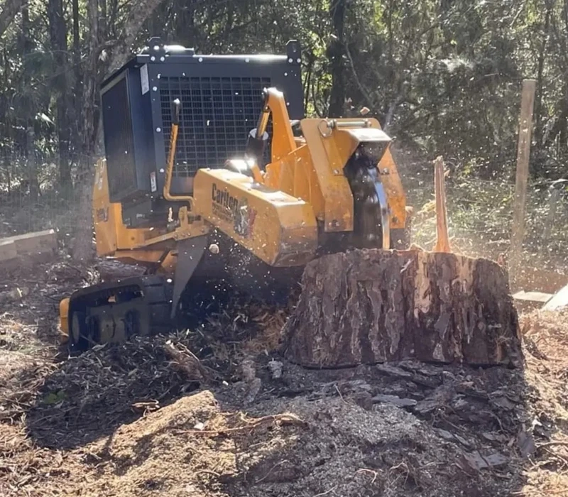 What Is Land Clearing and Why Is It Important?
